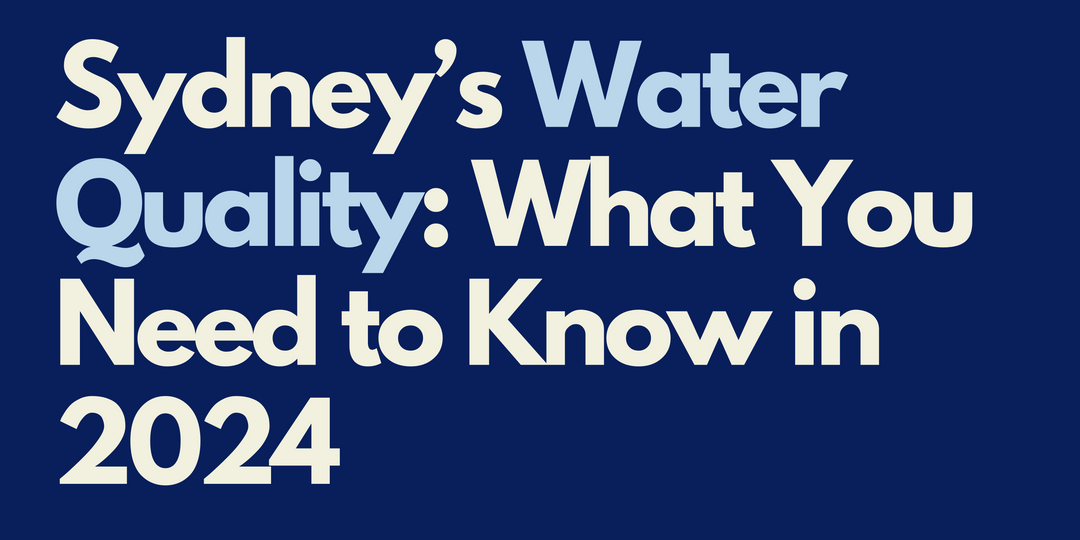 Sydney’s Water Quality: What You Need to Know in 2024