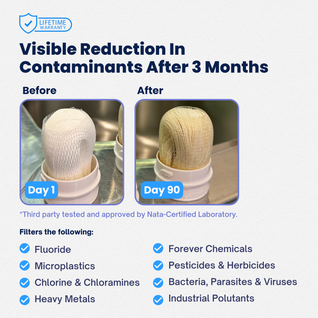 Flow Tap: Stainless Steel Tap Water Filter + 1 Cartridge